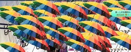 言~儿太难了主播照片