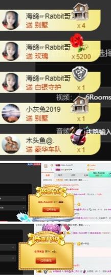 海鸽休息几天主播照片
