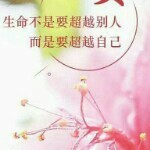 米饭米饭我是米饭海报