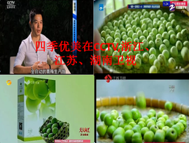 人生闲谈主播照片