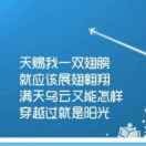 用一辈子等待一0