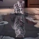 双子座——小枀海报