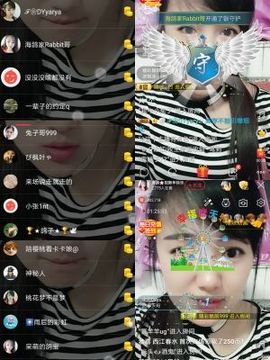 海鸽休息几天主播照片
