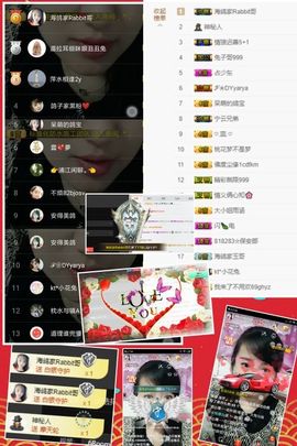海鸽休息几天主播照片
