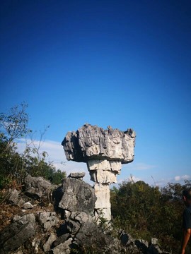 1221IL主播照片