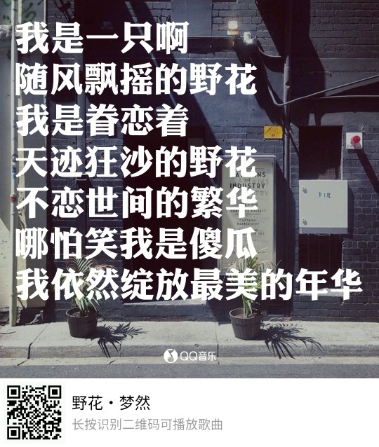 花落云息一人在古刹的主播照片
