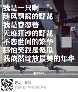 花落云息一人在古刹主播照片
