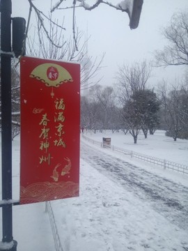 沙漠英雄《无与伦比》主播照片