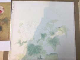 喵喵小可爱～主播照片