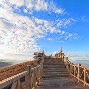 傲骨之风