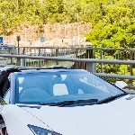 蹭歌蹭舞不蹭美女的头像