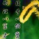 细品岁月ie海报