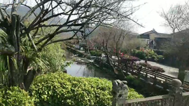 逍遥快活的人主播照片