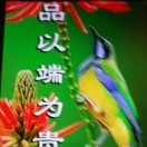 木子勤