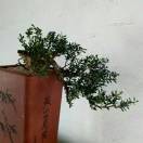 夜很静j的头像