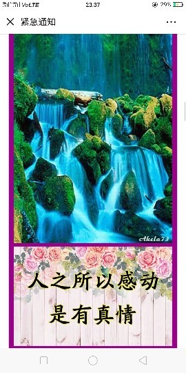 唯爱👯👼有缘再见主播照片