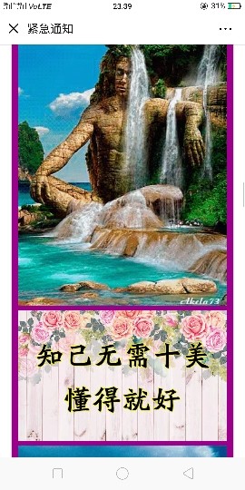 唯爱👯👼有缘再见主播照片