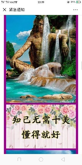 唯爱👯👼有缘再见主播照片