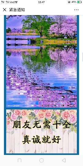 唯爱👯👼有缘再见主播照片