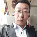 银狼火狐0海报