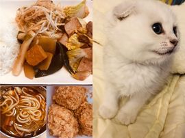 黄豆❤️新主播主播照片
