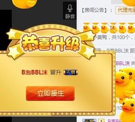 叮当喵~~~主播照片