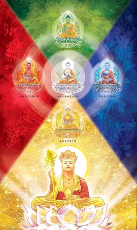 感恩逆境逆缘主播照片