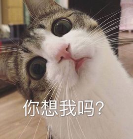 晶宝儿2018主播照片