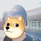 星羽o