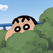 A林枫