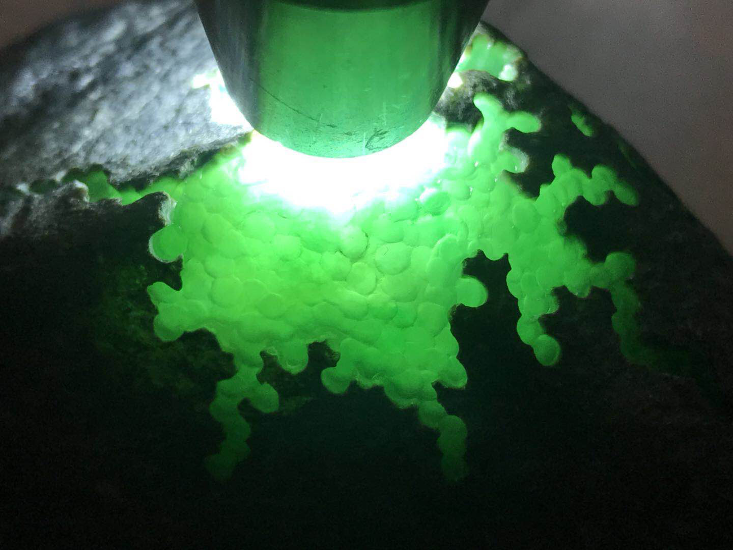 翡翠原石和合翡翠的主播照片
