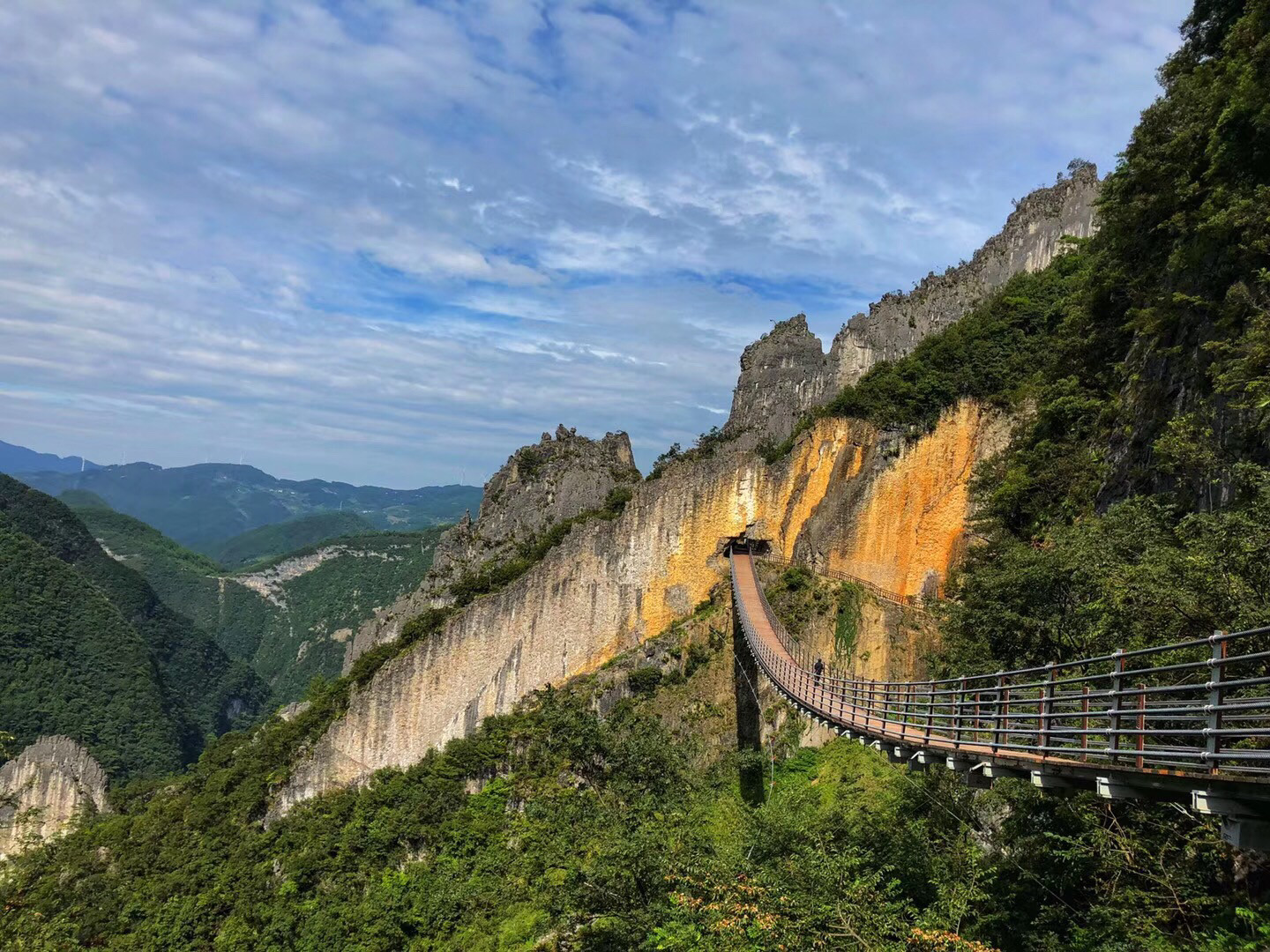 重庆媛媛🌻的主播照片