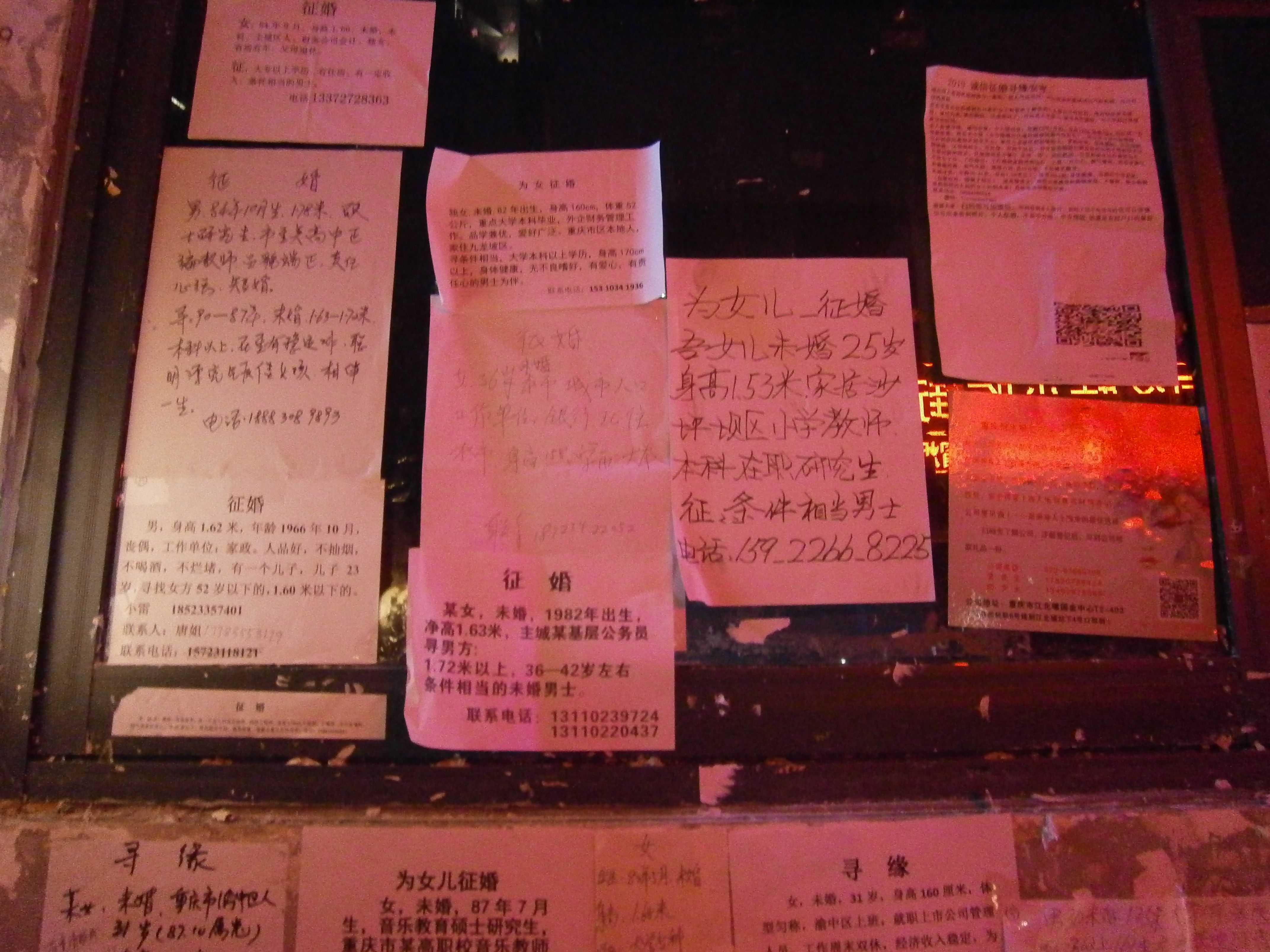 zky23248isw主播照片