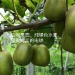 游戏没有情感海报