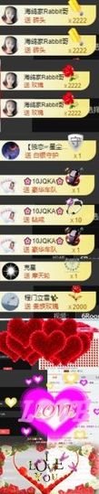 海鸽休息几天主播照片