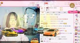 一只雁~主播照片