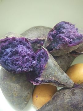 菜菜@一世情主播照片