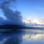 ~~*~海报