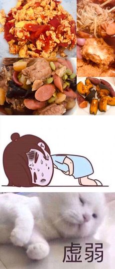黄豆❤️新主播主播照片
