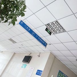 软软爱你呀主播照片