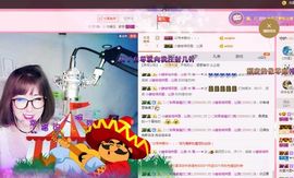 一只雁~主播照片