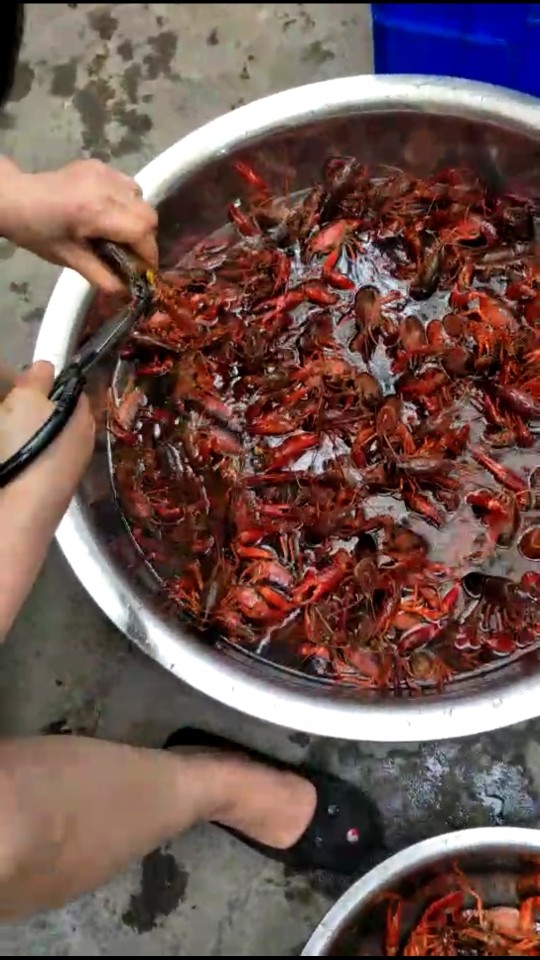 瞎逛的二狗子的图片