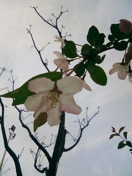 梦💞洁主播照片