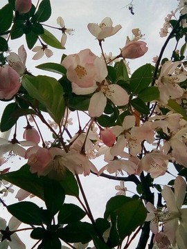 梦💞洁主播照片