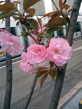 梦💞洁主播照片