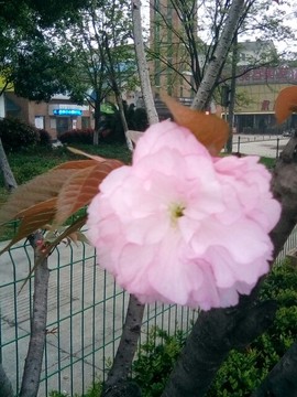 梦💞洁主播照片