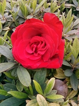 梦💞洁主播照片