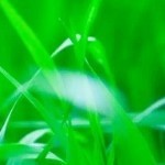 敏思l海报