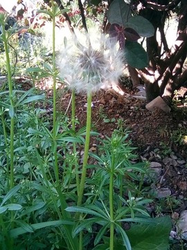 梦💞洁主播照片