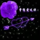 莫等🌹落空折枝海报